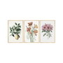 Wallity Huhu278 Cuadro Decorativo Enmarcado de 3 Piezas 50 x 35 cm